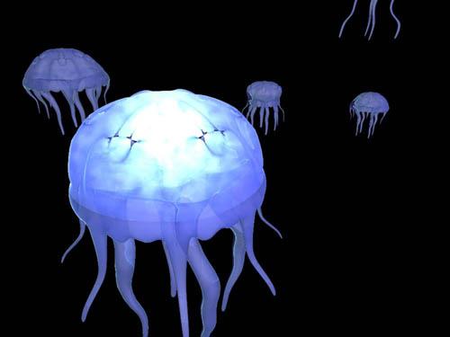 moving jellyfish clipart - photo #37